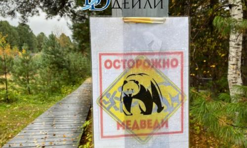 Буриадад баавгай агнах сургалт зохион байгуулна