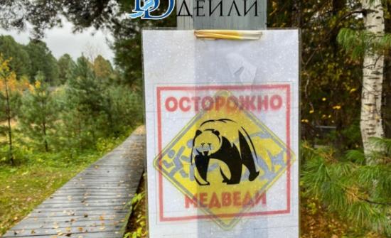 Буриадад баавгай агнах сургалт зохион байгуулна