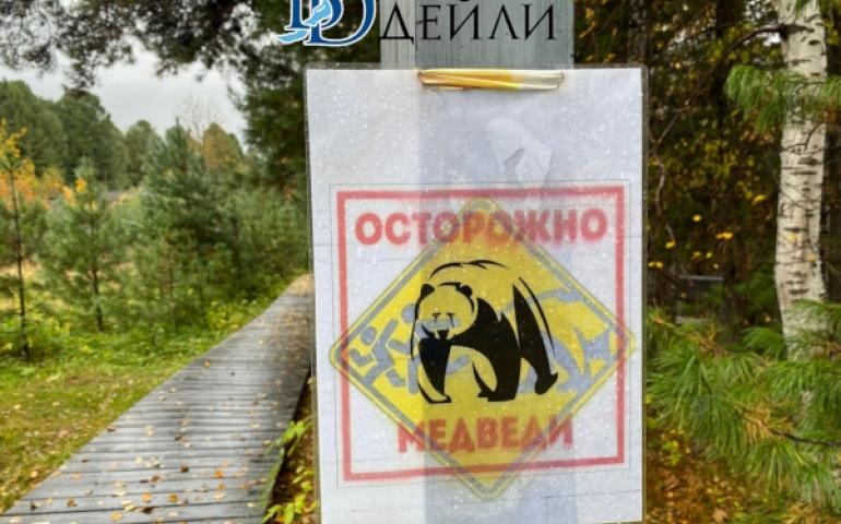 Буриадад баавгай агнах сургалт зохион байгуулна